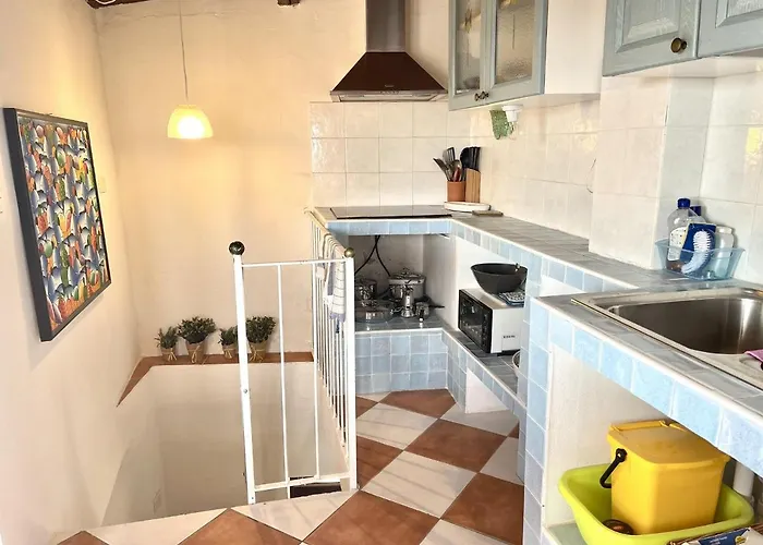 Latorretta By Solturelba *